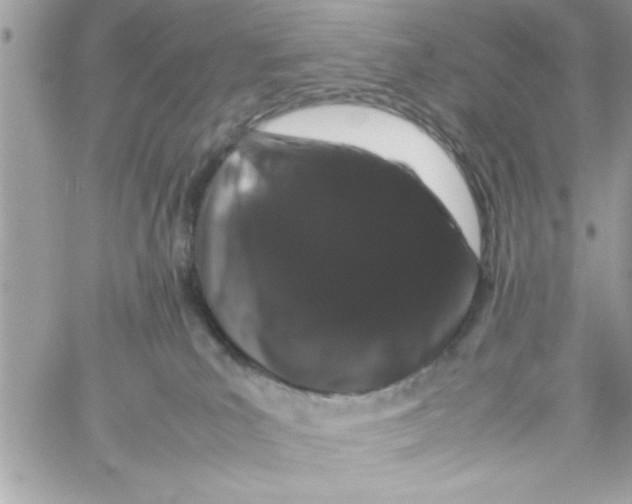 X0000057100039200510071948