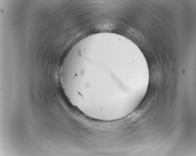 X0000057100040200510071948