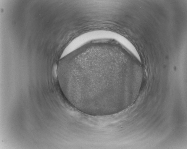 X0000057100041200510071948