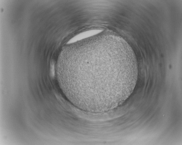 X0000057100042200510071948