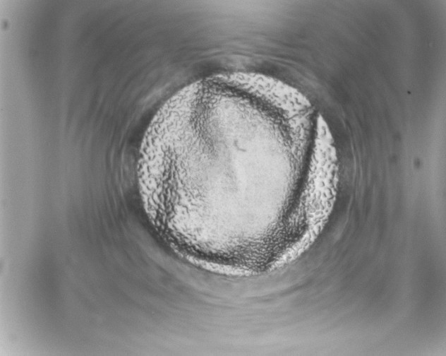 X0000057100043200510071948