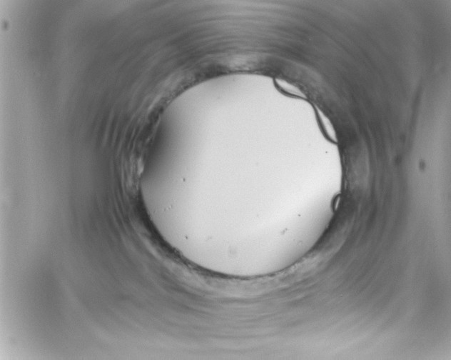 X0000057100044200510071948