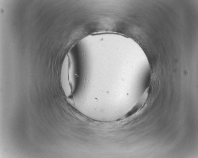 X0000057100045200510071948