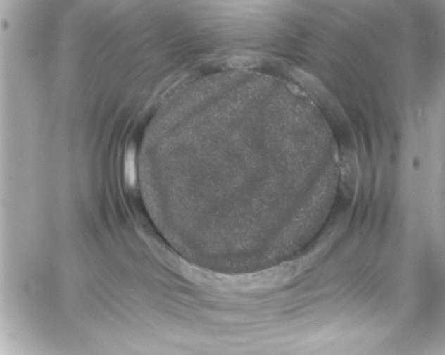 X0000057100046200510071948