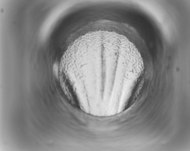 X0000057100047200510071948