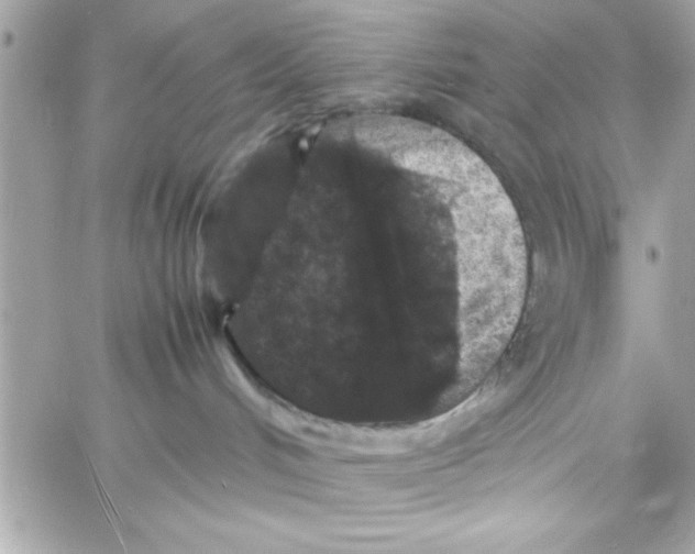 X0000057100048200510071948