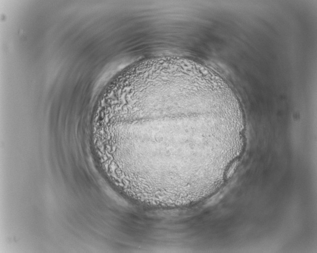 X0000057100049200510071947