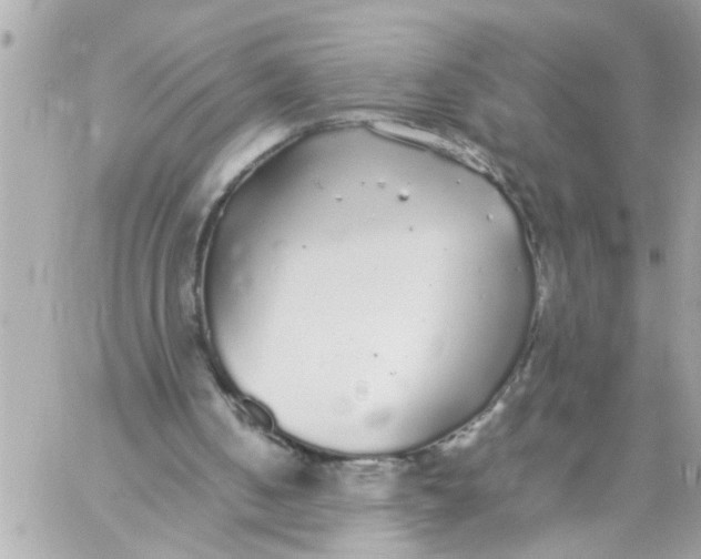 X0000057100050200510071947