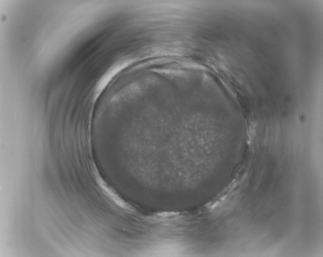 X0000057100052200510071948