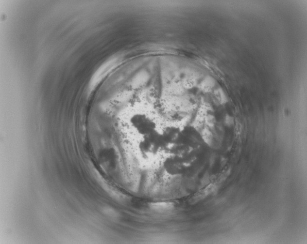 X0000057100053200510071948