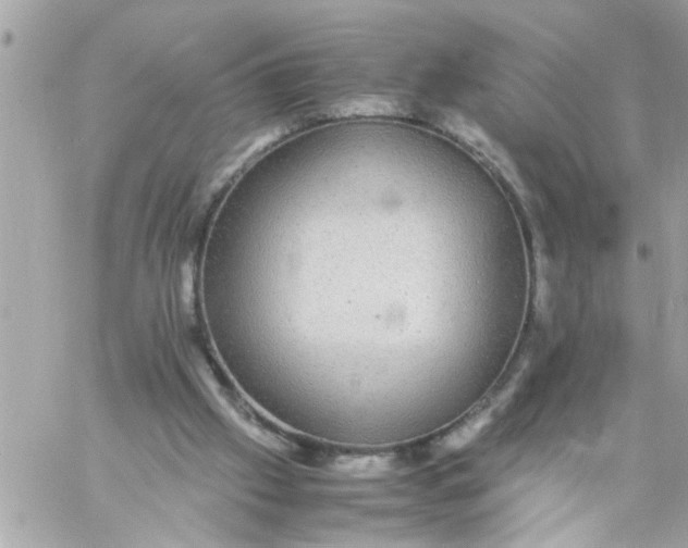 X0000057100057200510071948