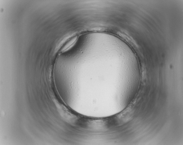 X0000057100058200510071948