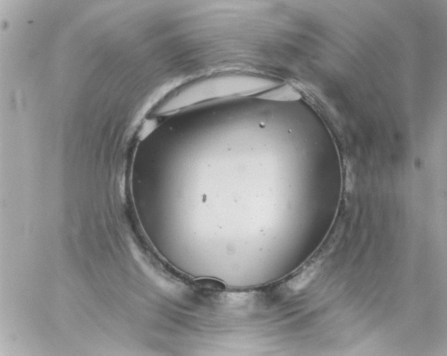 X0000057100060200510071948