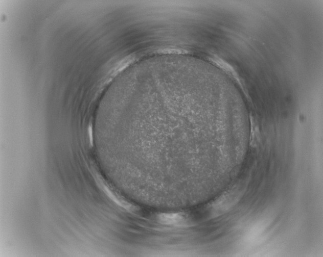 X0000057100061200510071948