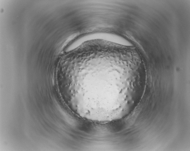 X0000057100062200510071948