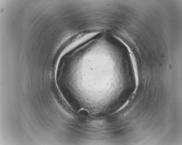 X0000057100063200510071948