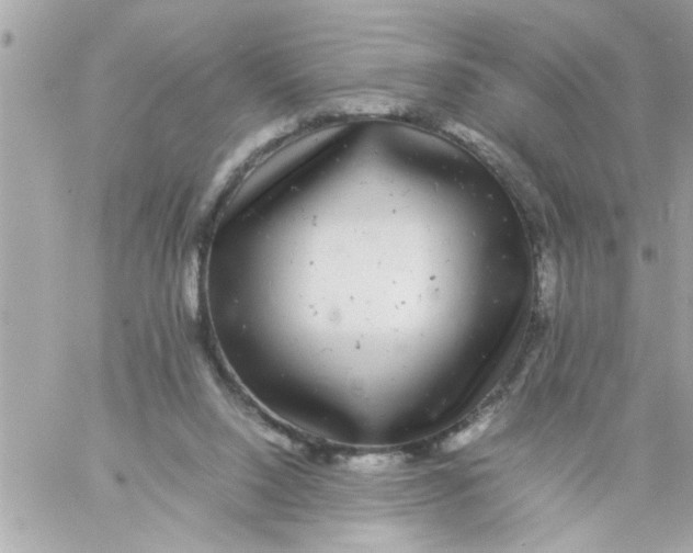 X0000057100064200510071948