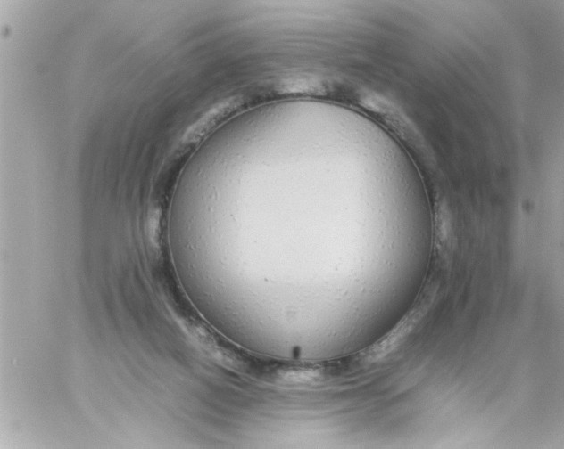 X0000057100066200510071948