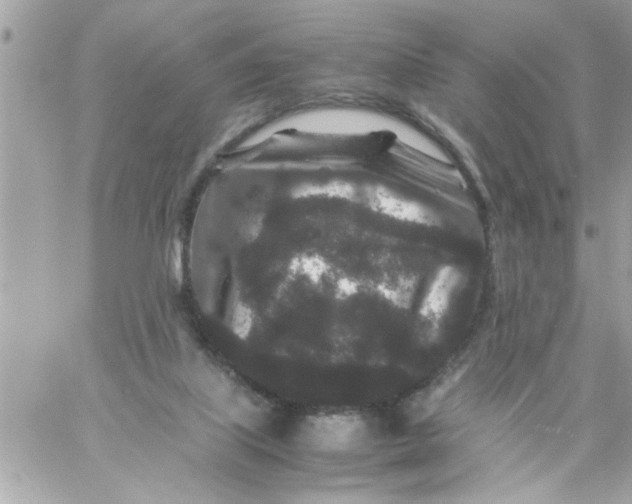 X0000057100067200510071948