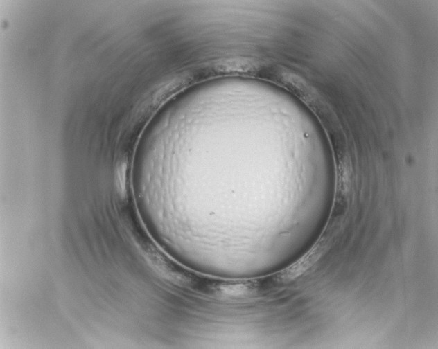 X0000057100070200510071948