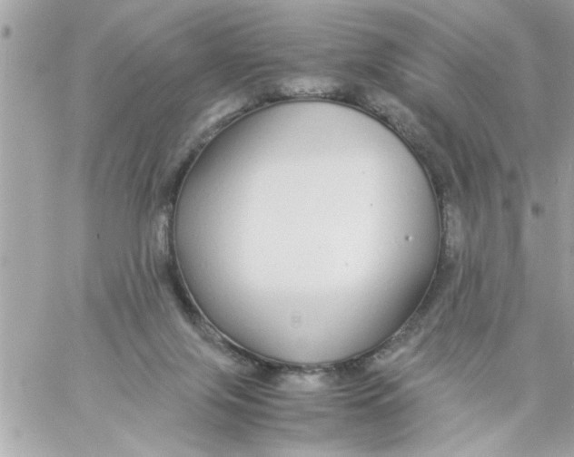 X0000057100071200510071948