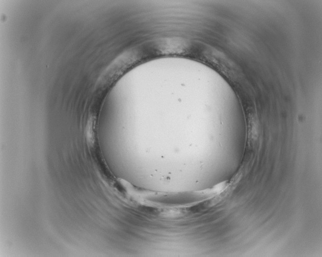 X0000057100074200510071948