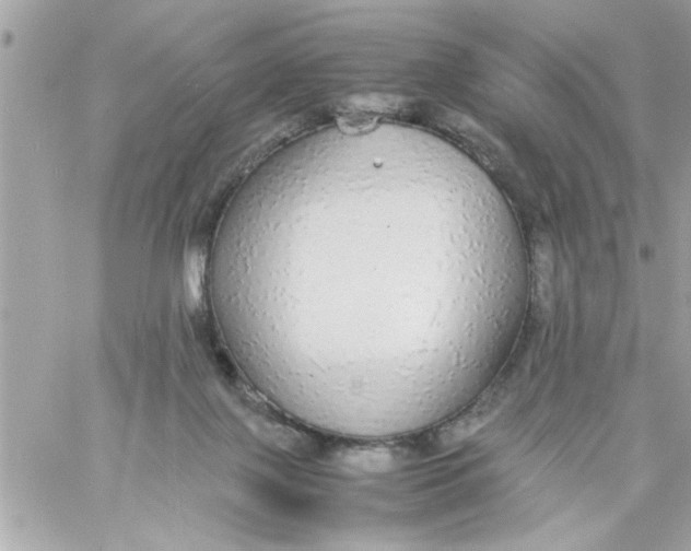 X0000057100075200510071948