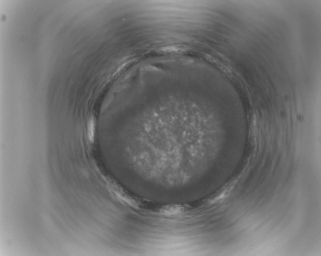 X0000057100076200510071948