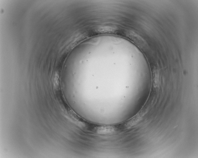 X0000057100077200510071948