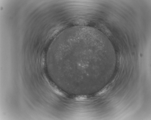 X0000057100080200510071948