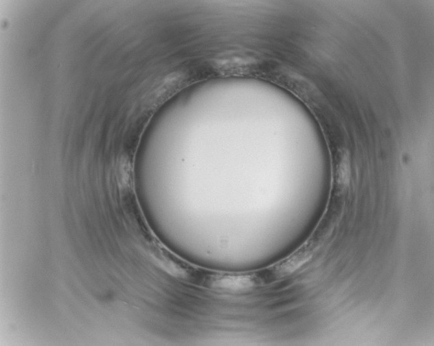 X0000057100081200510071948