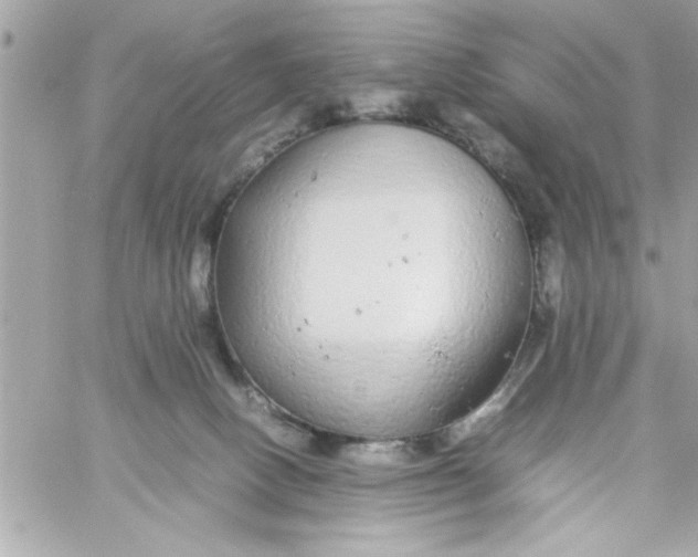 X0000057100082200510071948