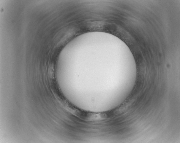 X0000057100083200510071948