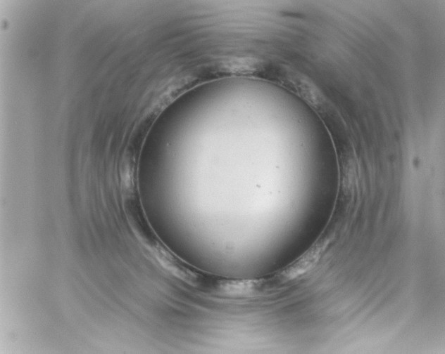 X0000057100084200510071948