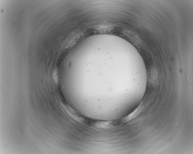 X0000057100086200510071948