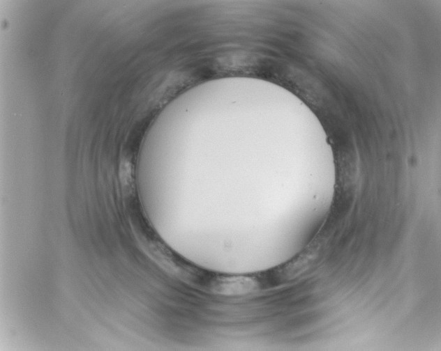 X0000057100087200510071948