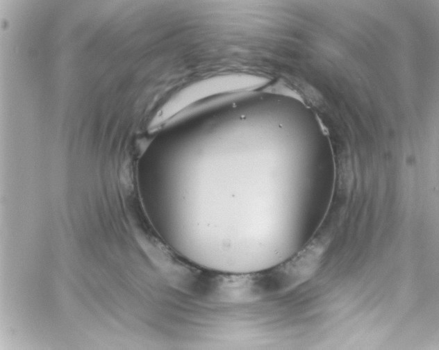 X0000057100088200510071948