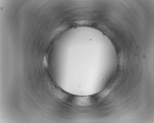 X0000057100089200510071948