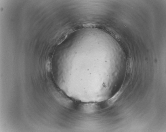 X0000057100090200510071948