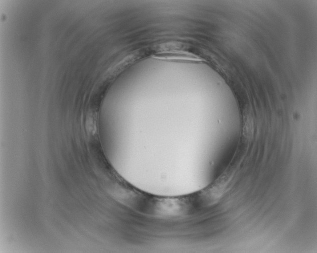 X0000057100091200510071948