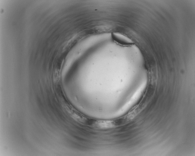 X0000057100093200510071948