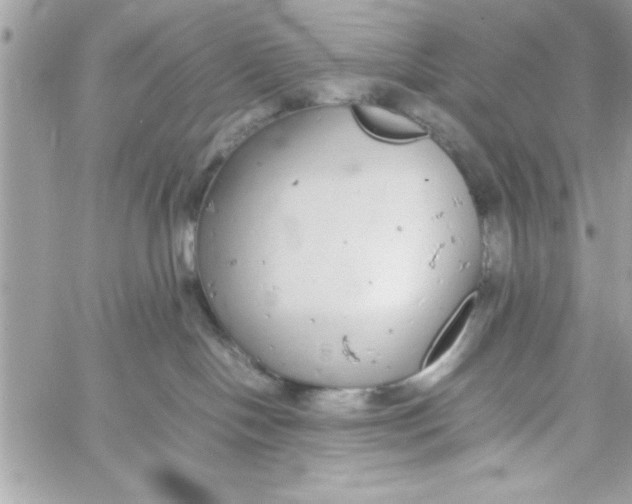 X0000057100094200510071948