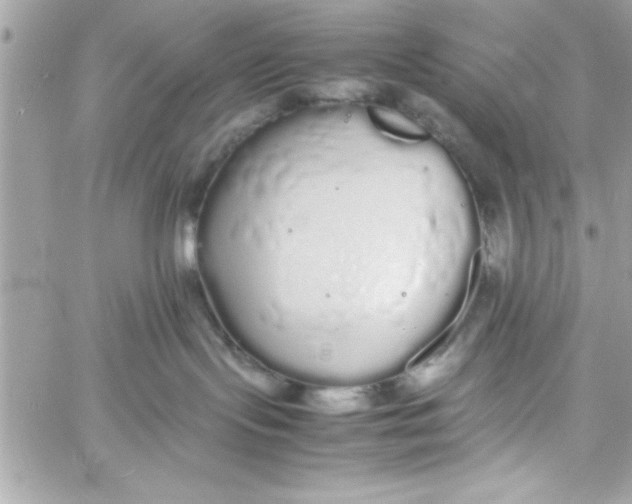 X0000057100095200510071948