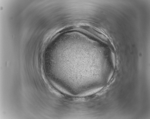 X0000057100097200510071947