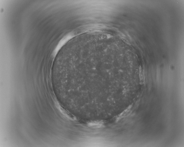 X0000057100099200510071947