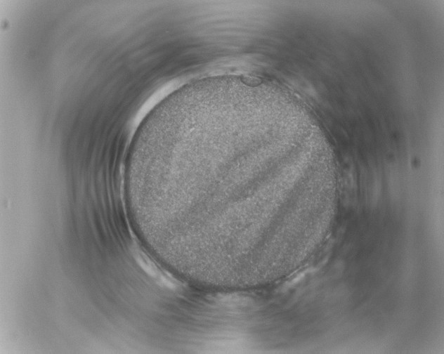 X0000057100100200510071947