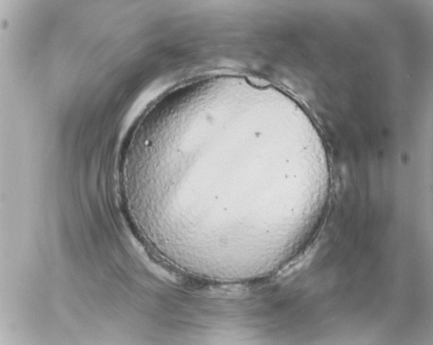 X0000057100102200510071947