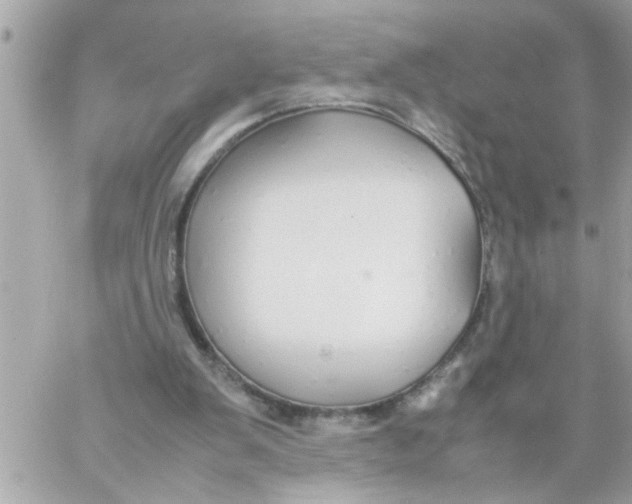 X0000057100103200510071947