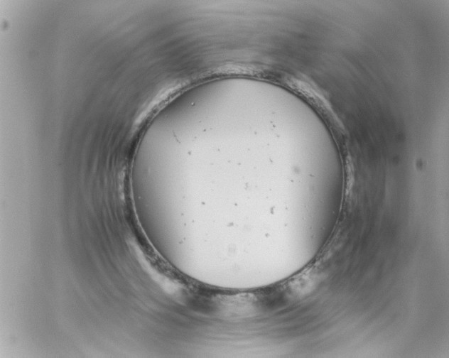 X0000057100106200510071947