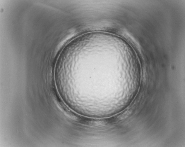 X0000057100107200510071947